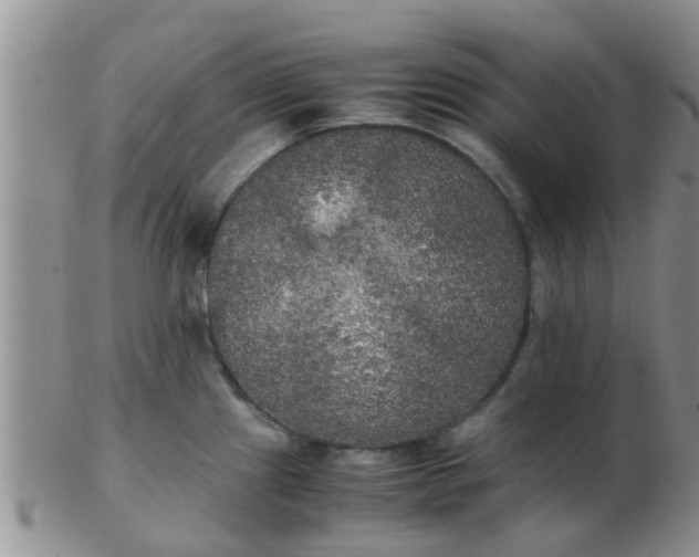X0000103311241200809122044