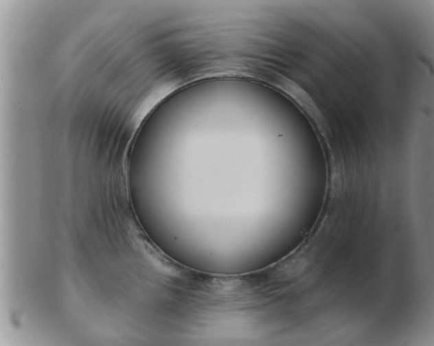 X0000103311242200809122044