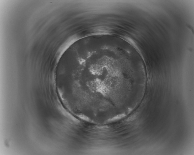X0000103311243200809122044