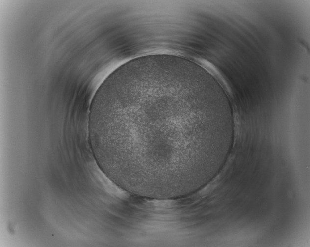 X0000103311244200809122044