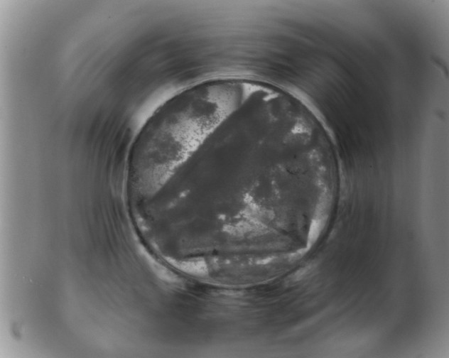 X0000103311245200809122044