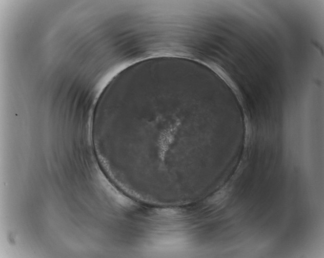 X0000103311246200809122045