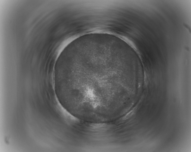 X0000103311247200809122045