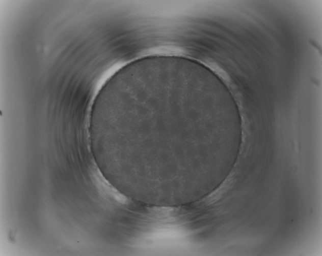X0000103311248200809122045