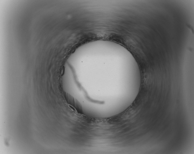 X0000103311249200809122044