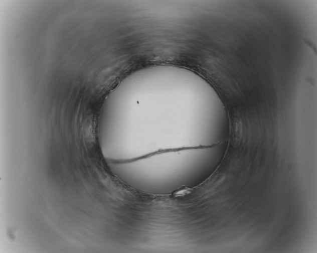 X0000103311250200809122044
