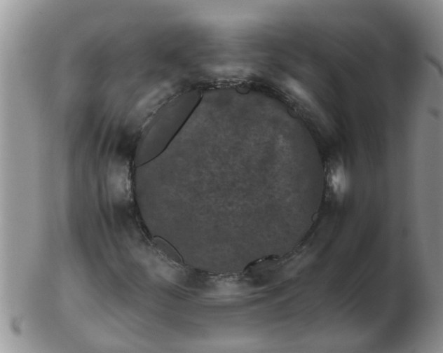 X0000103311252200809122044