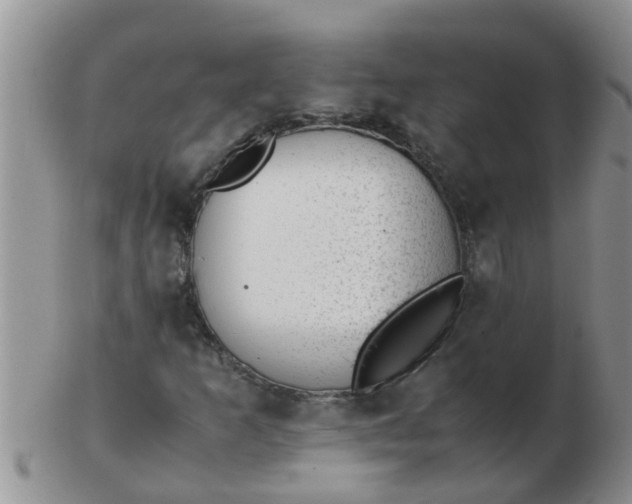X0000103311253200809122044
