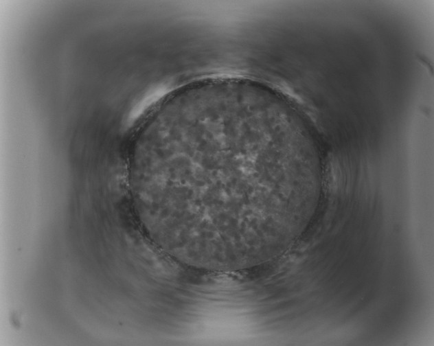 X0000103311255200809122044