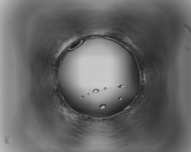 X0000103311256200809122044