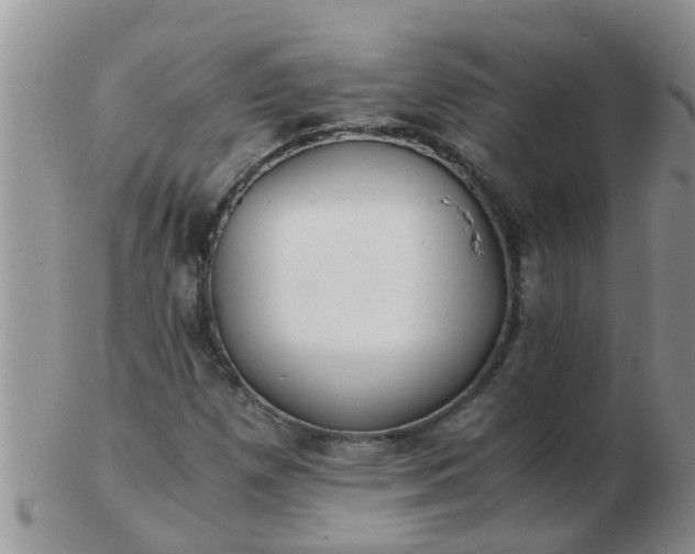 X0000103311257200809122044