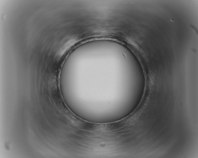 X0000103311259200809122044