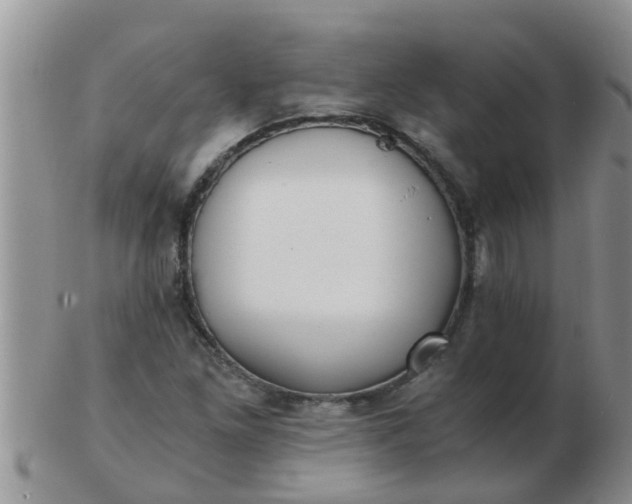 X0000103311261200809122044