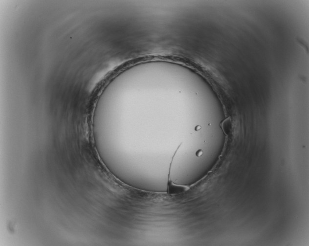 X0000103311262200809122044