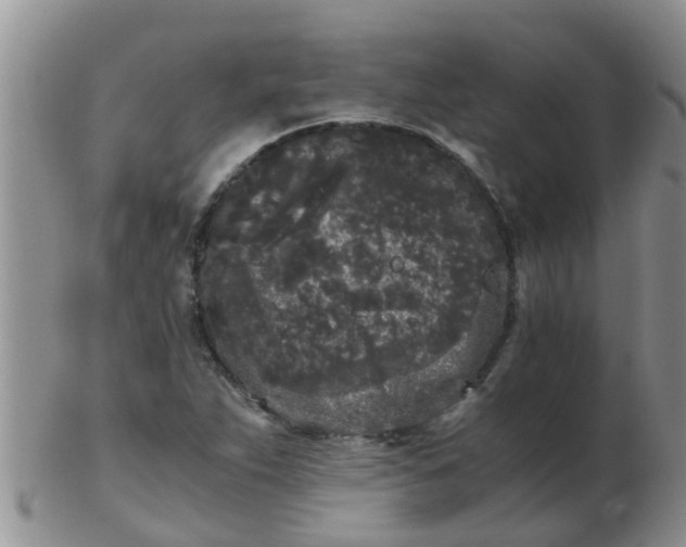 X0000103311263200809122044