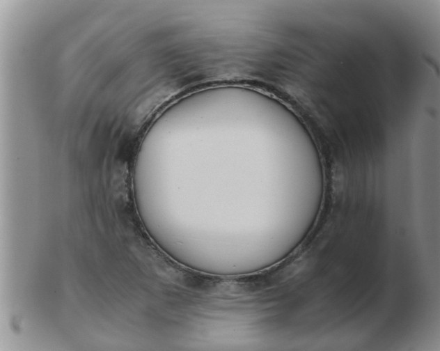 X0000103311265200809122044