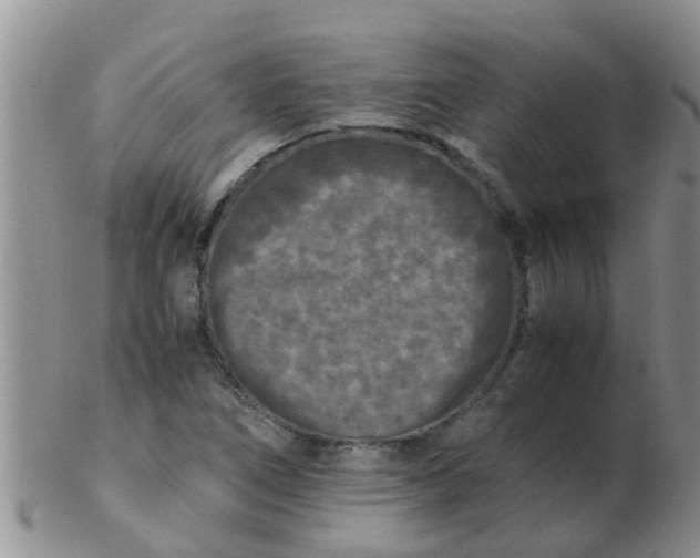 X0000103311266200809122044
