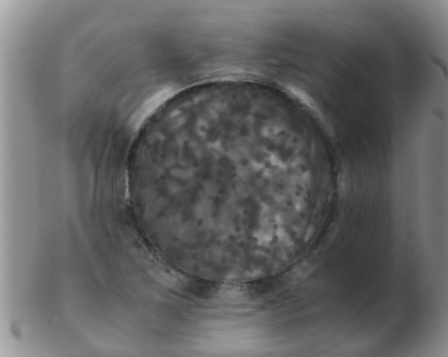 X0000103311267200809122044