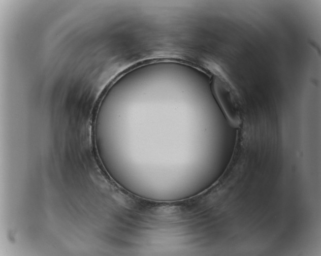 X0000103311268200809122044