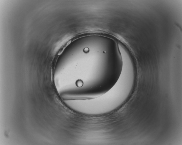 X0000103311269200809122044