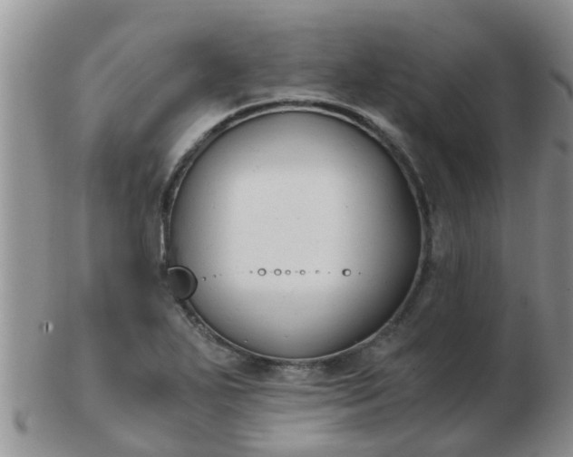 X0000103311271200809122044