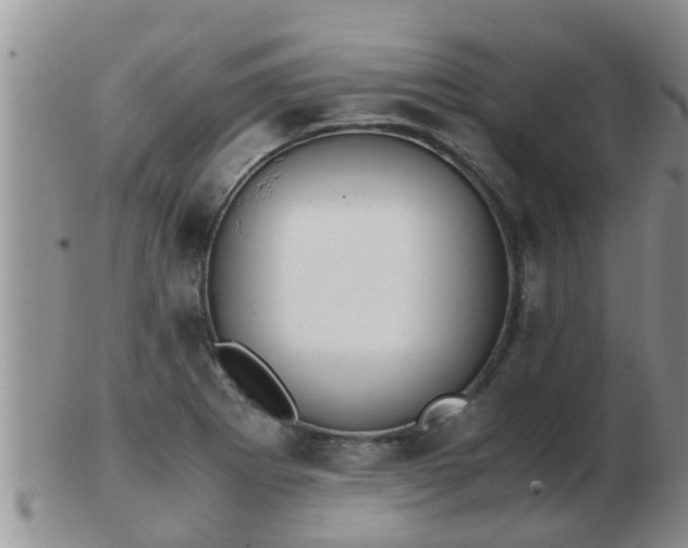 X0000103311273200809122044
