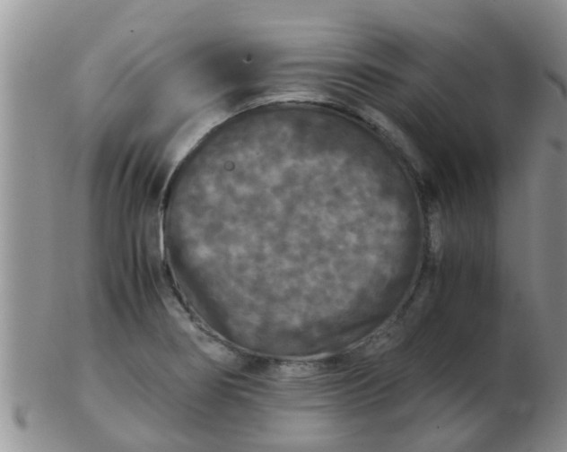 X0000103311274200809122044