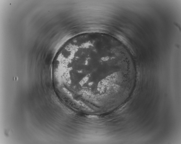 X0000103311275200809122044