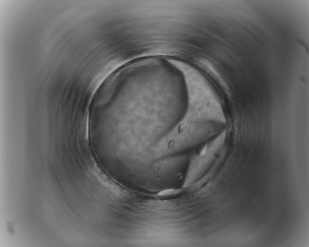 X0000103311276200809122044