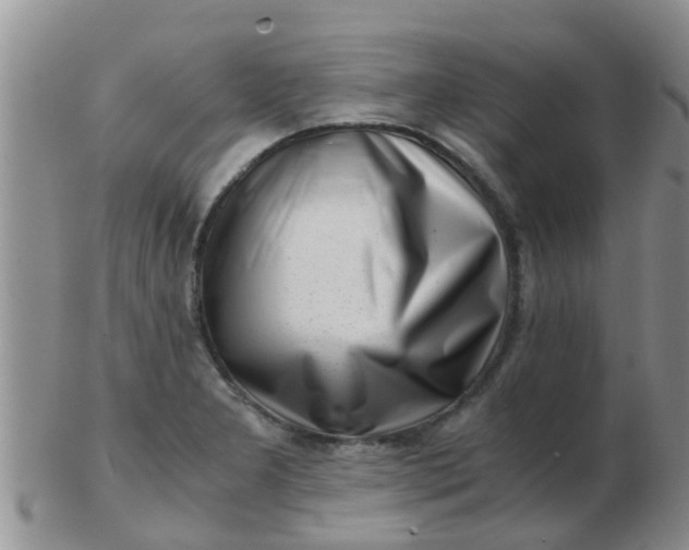 X0000103311277200809122043