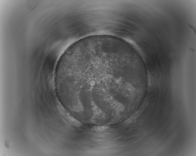 X0000103311278200809122043