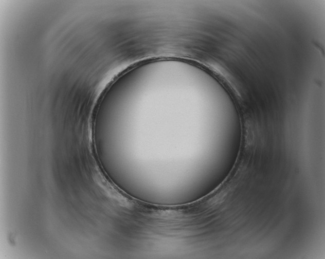 X0000103311280200809122043