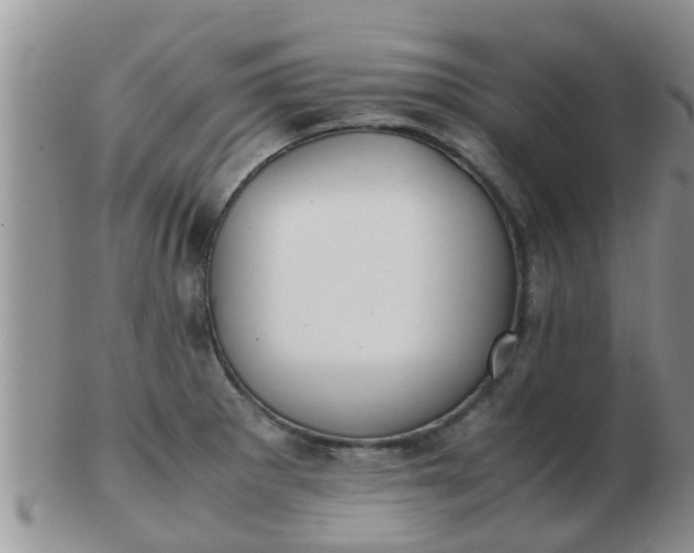 X0000103311281200809122043