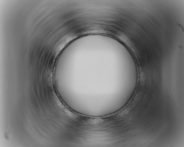 X0000103311282200809122043