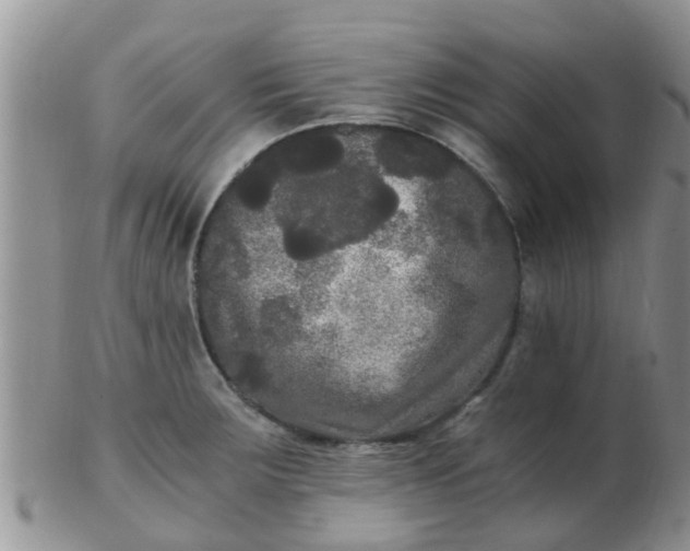 X0000103311283200809122043