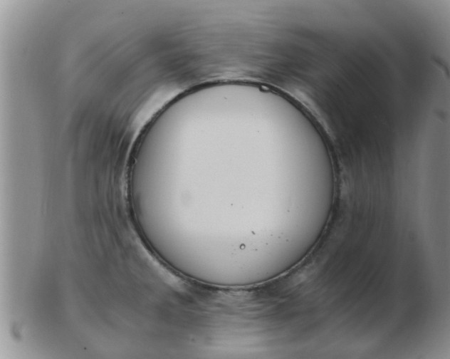 X0000103311285200809122043