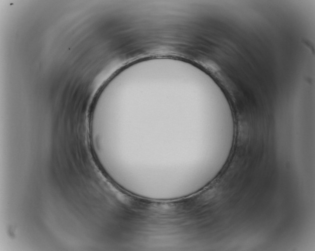 X0000103311286200809122043