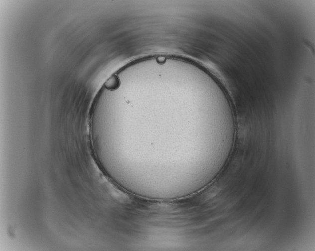 X0000103311287200809122043