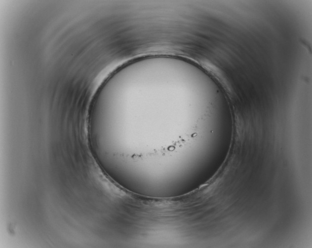X0000103311288200809122043