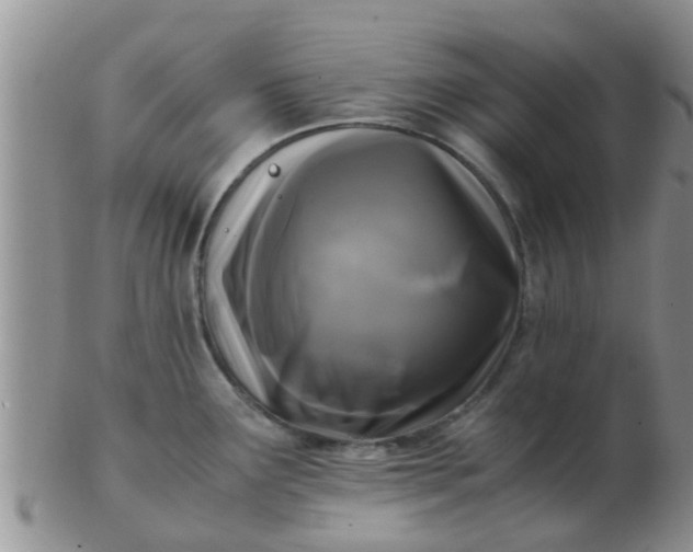 X0000103311291200809122043