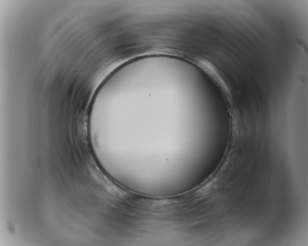 X0000103311292200809122043