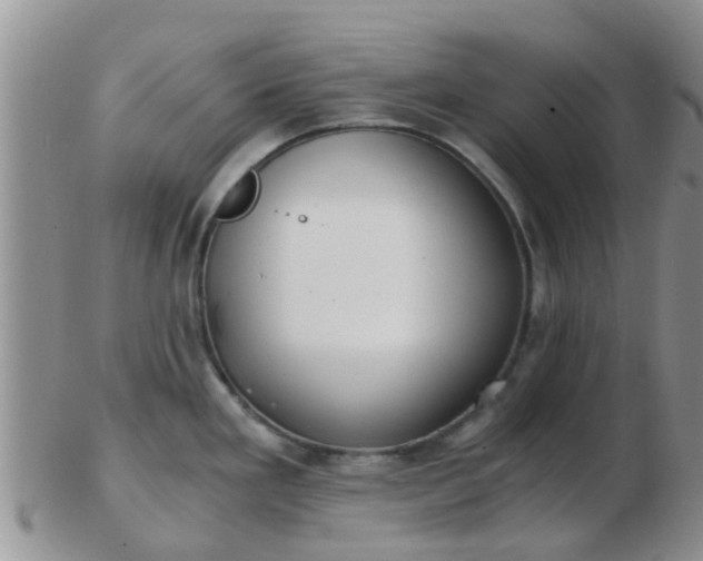 X0000103311293200809122043