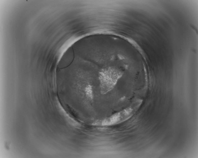 X0000103311295200809122043