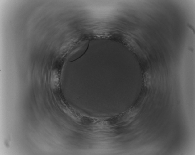 X0000103311298200809122043