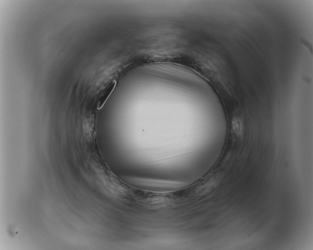 X0000103311300200809122043