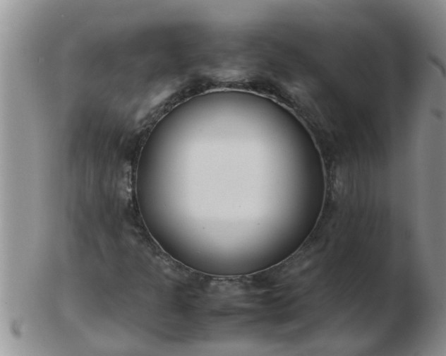 X0000103311301200809122043