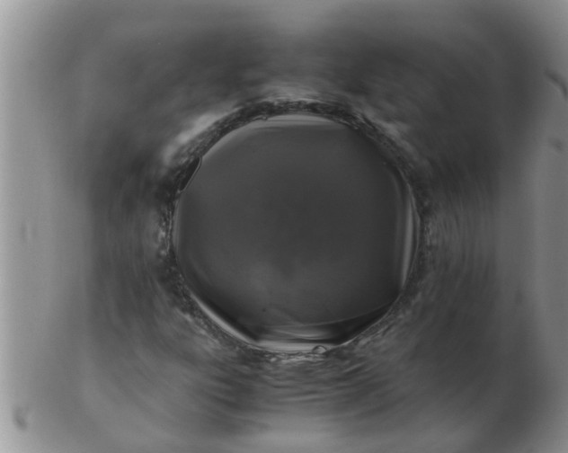 X0000103311303200809122043