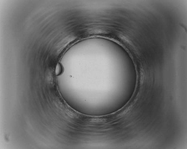 X0000103311305200809122043