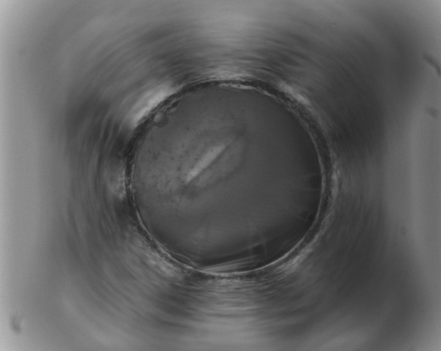 X0000103311306200809122043