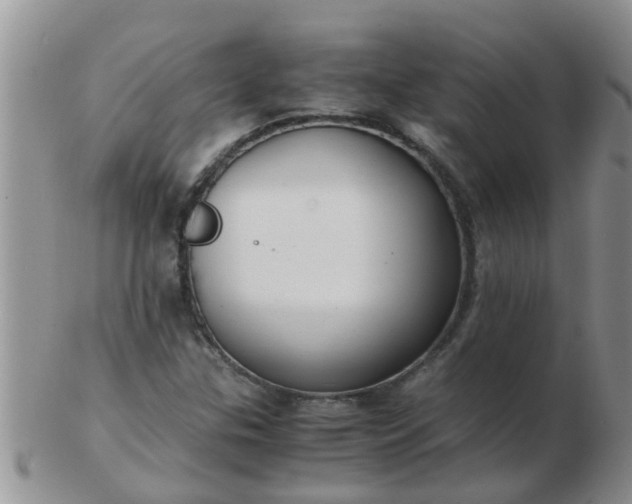 X0000103311307200809122043
